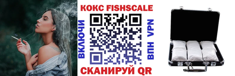 продажа наркотиков  Вышний Волочёк  Кокаин FishScale 