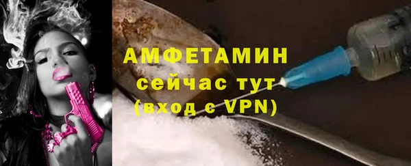 дмт Краснослободск
