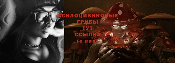 герыч Козельск