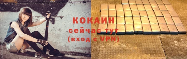 гашик Белоозёрский