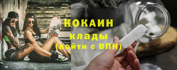 гашик Белоозёрский