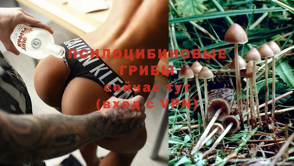 мяу мяу кристалл Белокуриха