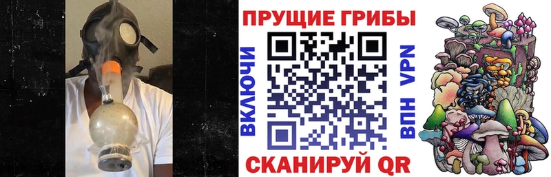 Галлюциногенные грибы Psilocybe  где купить   Вышний Волочёк 